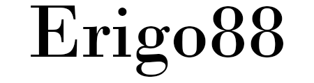 Erigo88